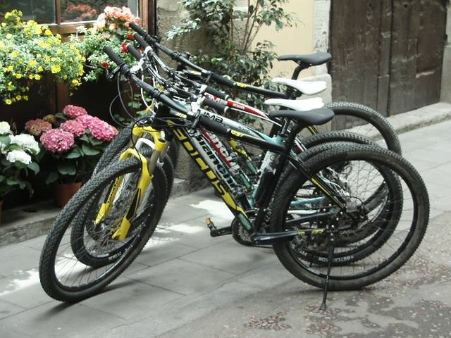 montain bikes